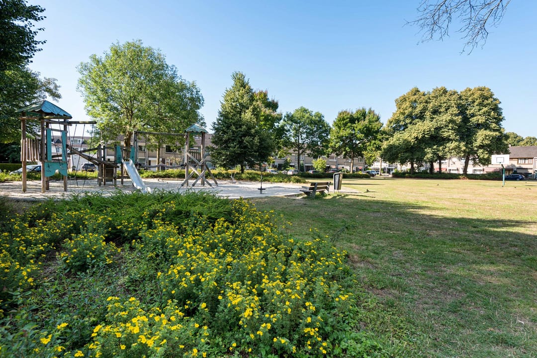 Photo 46 of Dupuislaan 21