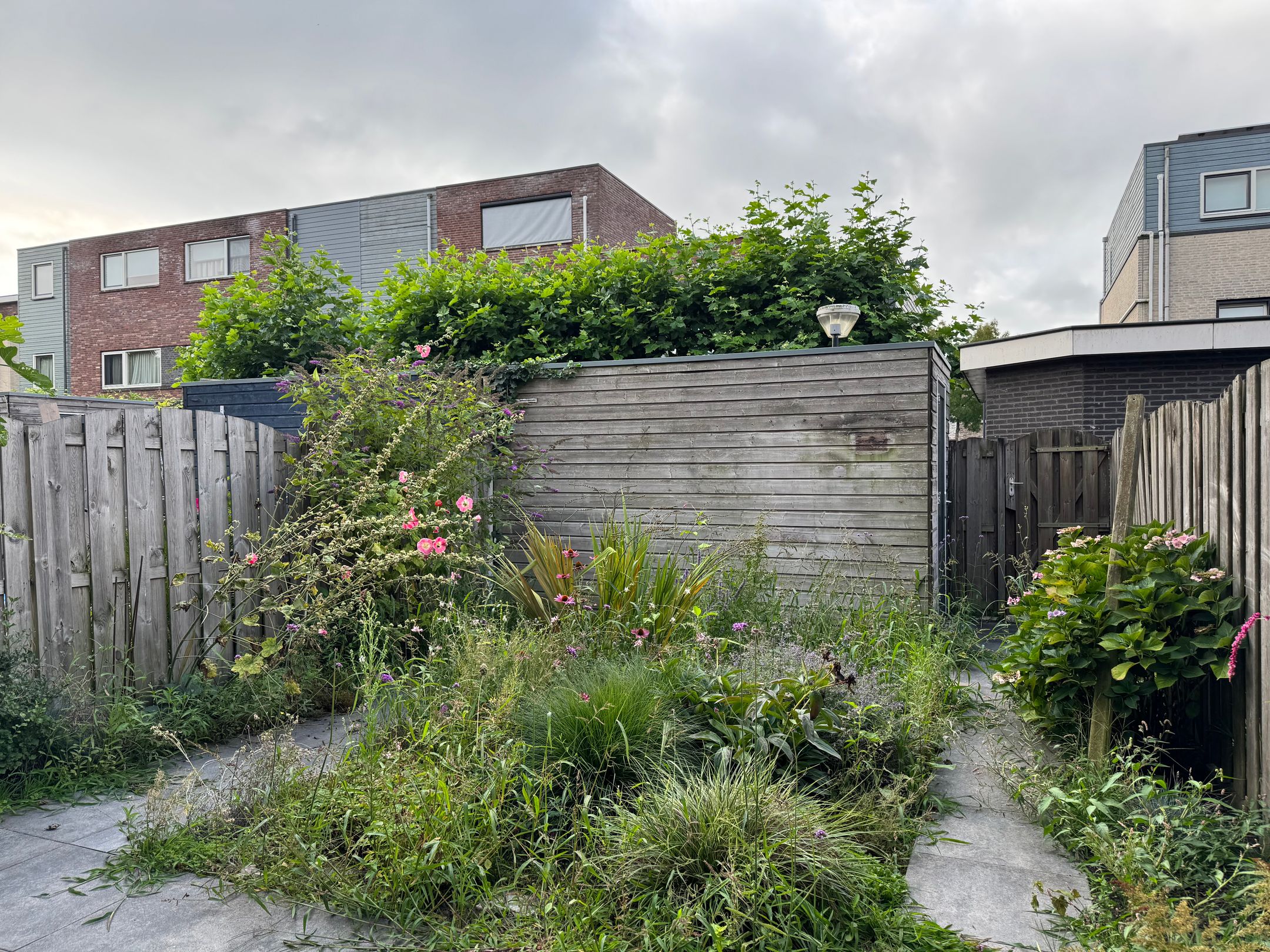 Photo 12 of Henricapolder 14