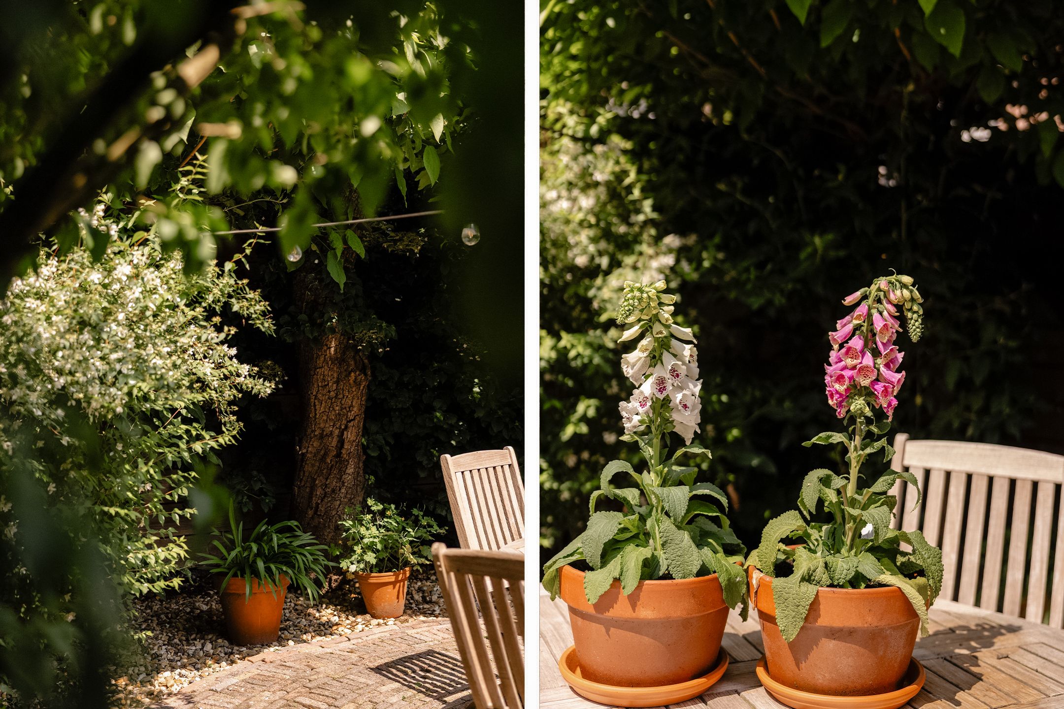 Photo 33 of Verspronckweg 100