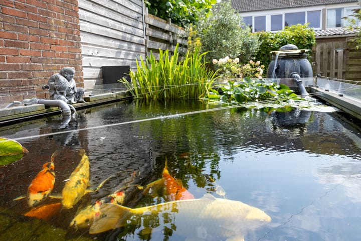 Foto 29 van Vechtstraat 8