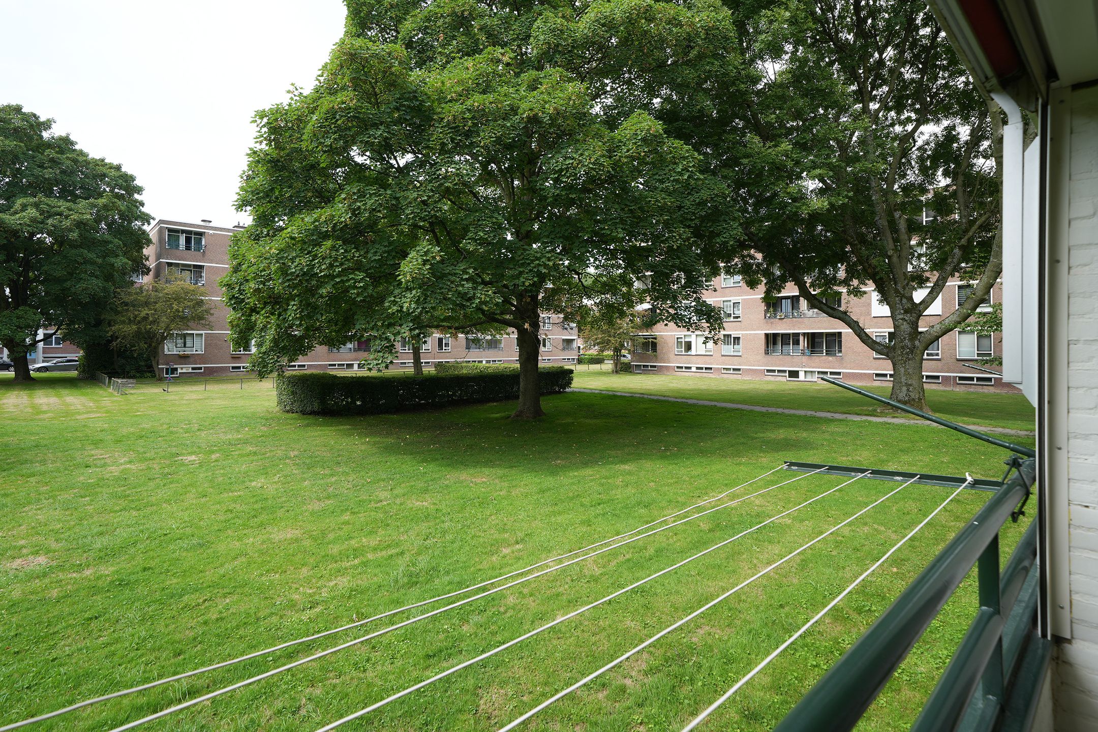 Foto 24 van Bredenoord 167