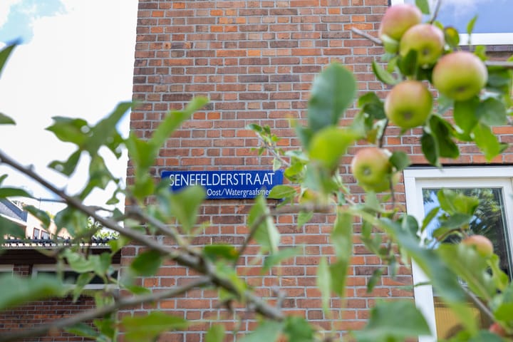 Foto 38 van Senefelderstraat 13-H