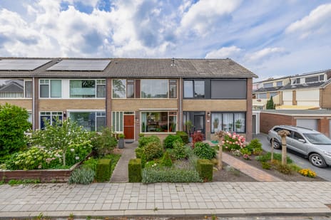 undefined main image