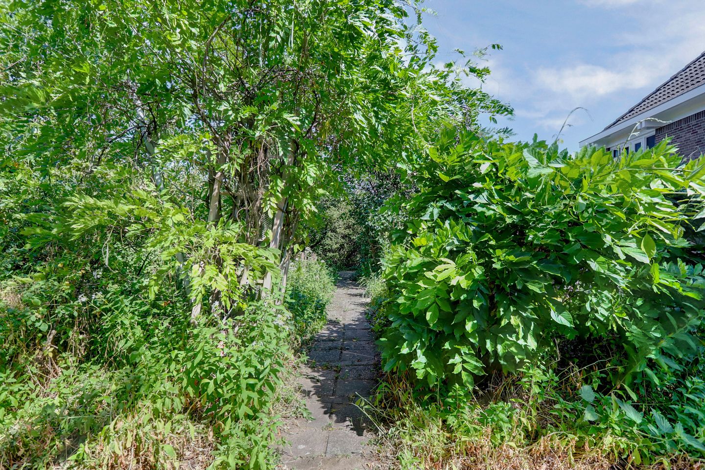 Photo 70 of Langenboomseweg 69-A