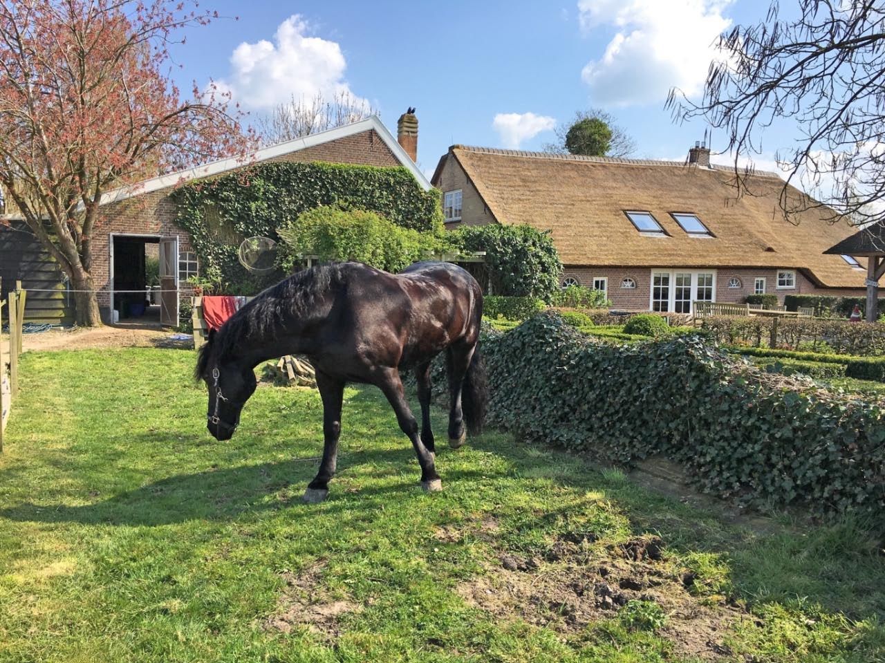 Foto 4 van Broekseweg 76