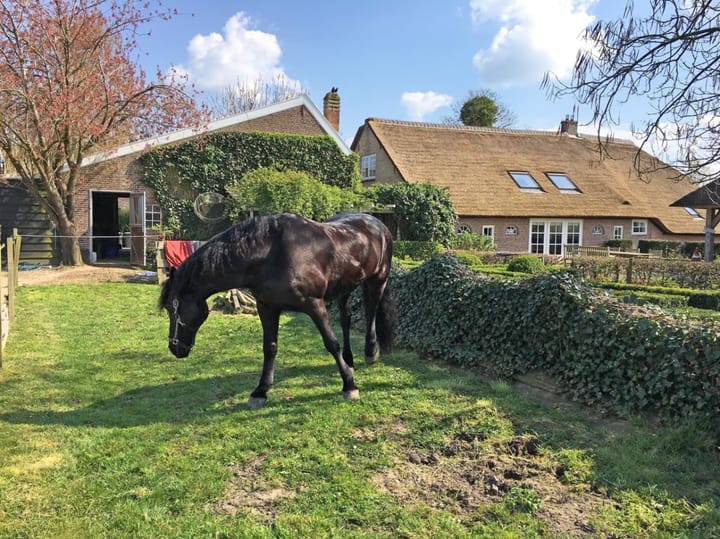 Foto 4 van Broekseweg 76