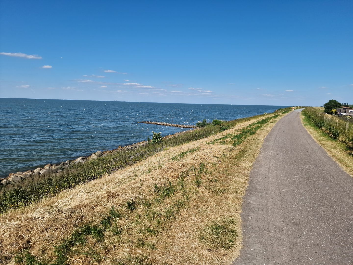 Foto 40 van Kleingouw 202-A