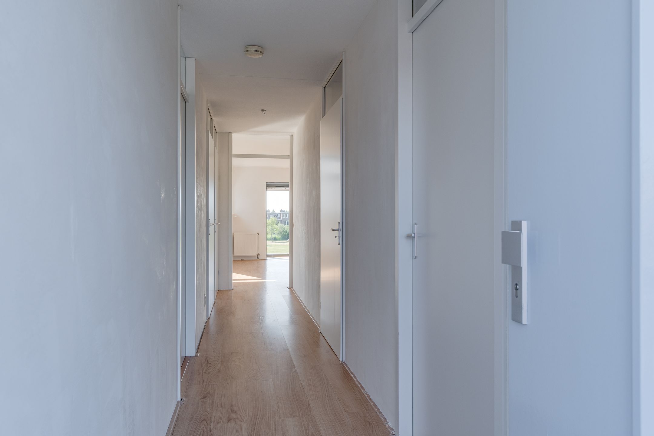 Foto 21 van Plantagepolder 43