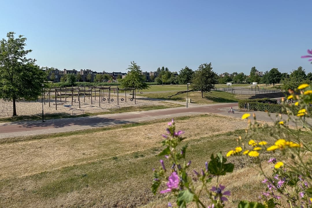 Foto 37 van Plantagepolder 43