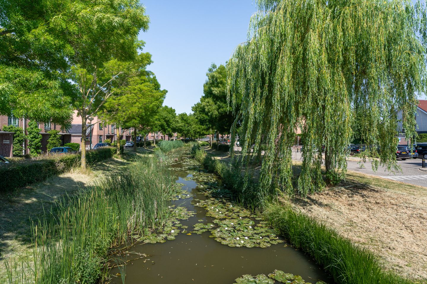 Foto 40 van Plantagepolder 43