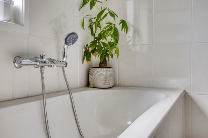 Foto 28 van Vreedstraat 9