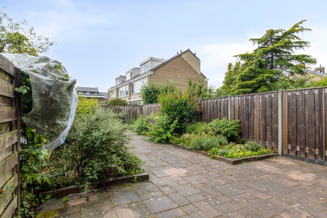 Foto 8 van Albert Cuypplein 6