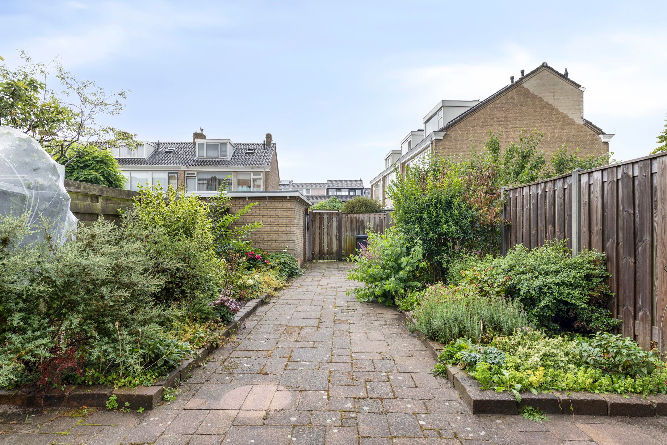 Foto 9 van Albert Cuypplein 6