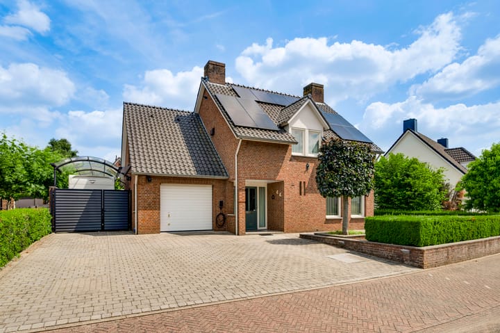 Foto 2 van Schapendries 5