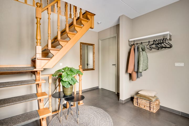 Foto 4 van Schapendries 5