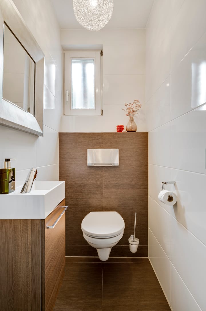 Foto 5 van Schapendries 5