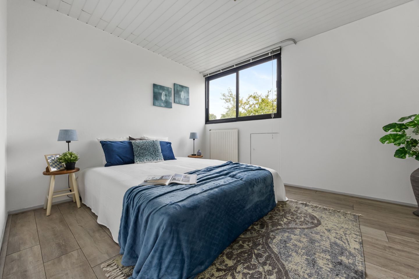 Foto 4 van Veenhof 2507