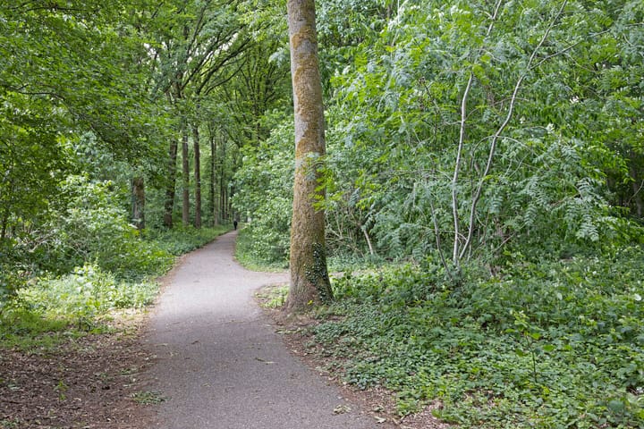 Foto 37 van Abersland 3532