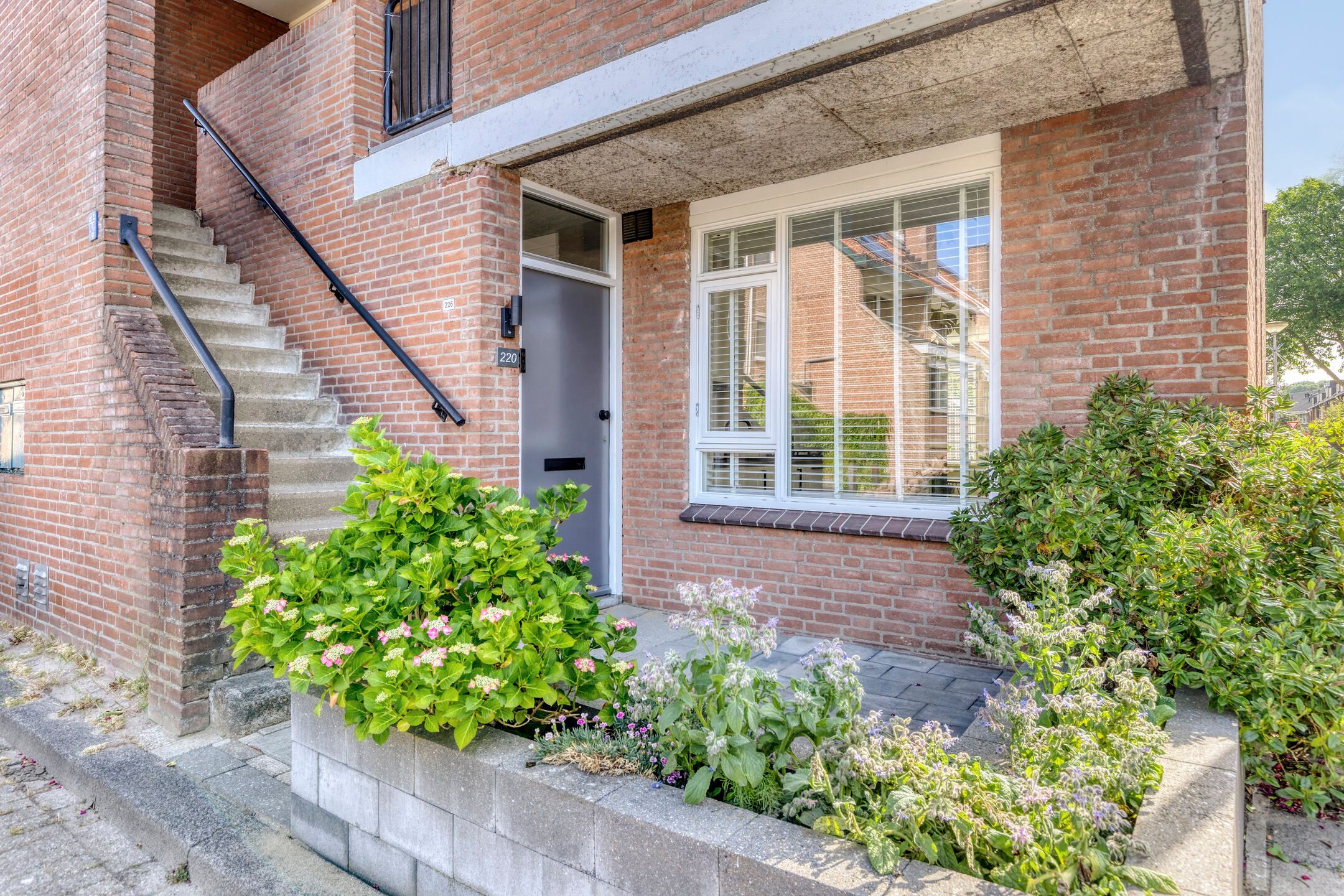 Foto 6 van Vlinderveen 220