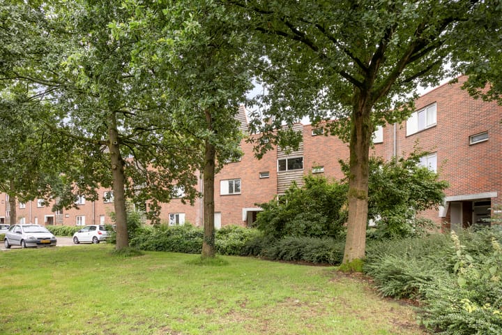 Foto 31 van Vrijmark 164