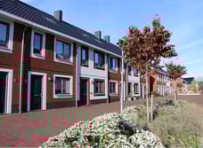 apartments for rent on Mark Huizingapad 29
