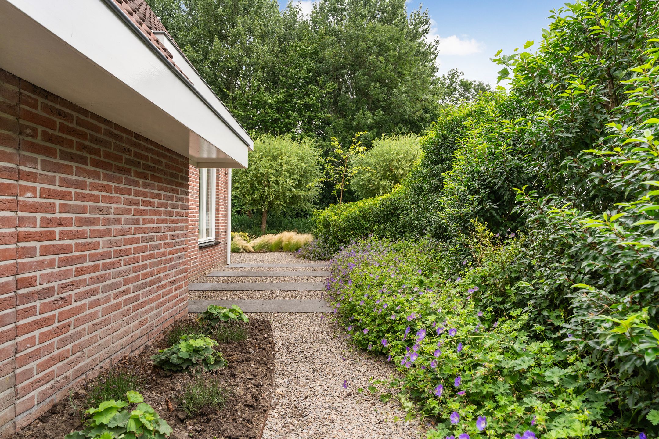 Foto 36 van Noordeand 6