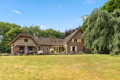 undefined main image