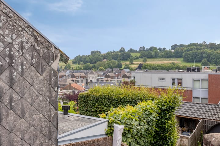 Foto 29 van Prof. Cobbenhagenstraat 21