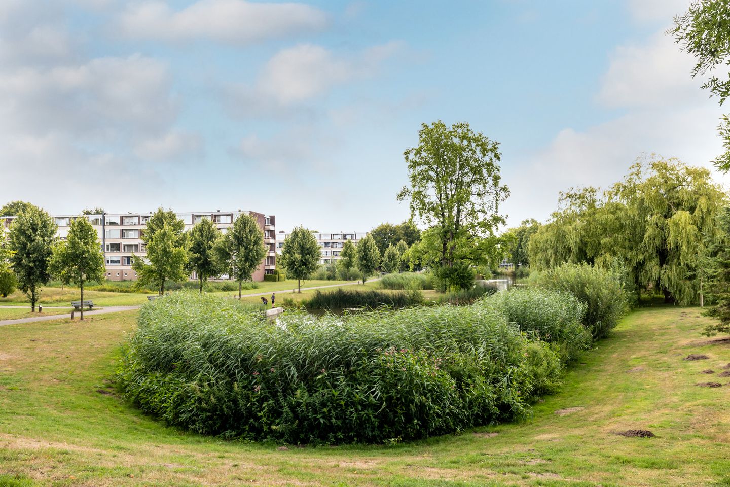 Foto 25 van Vrijheidstraat 59