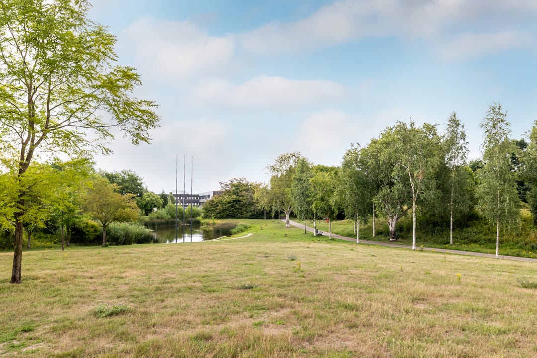 Foto 26 van Vrijheidstraat 59