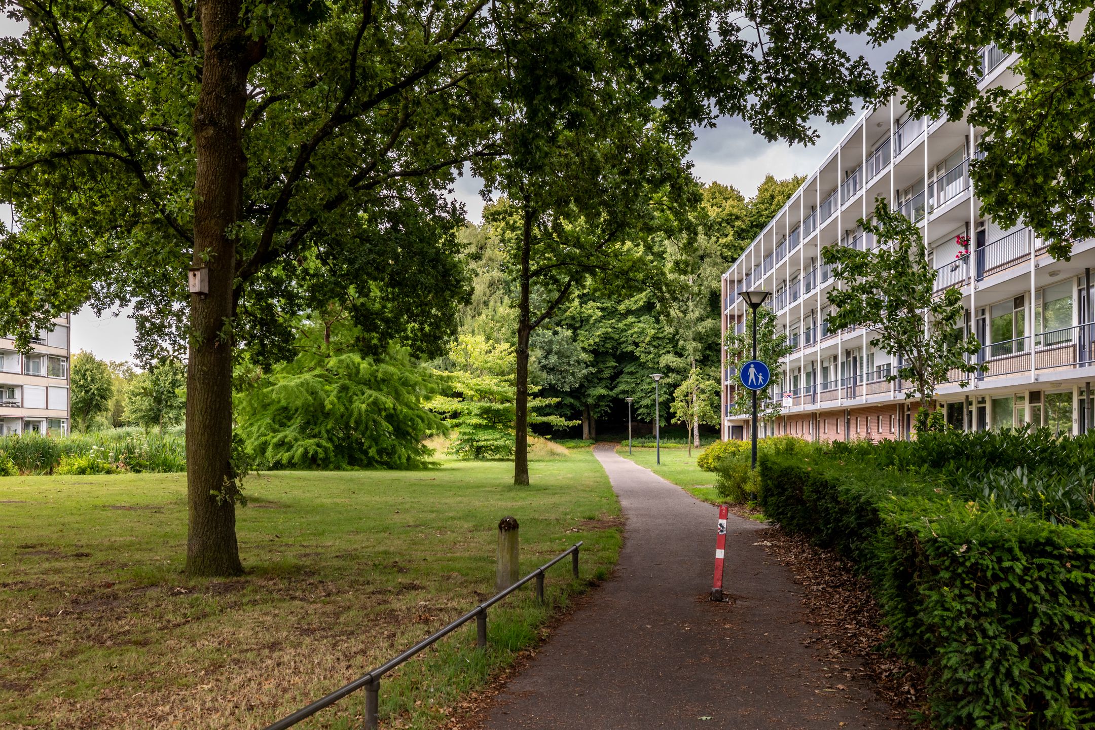 Foto 27 van Vrijheidstraat 59