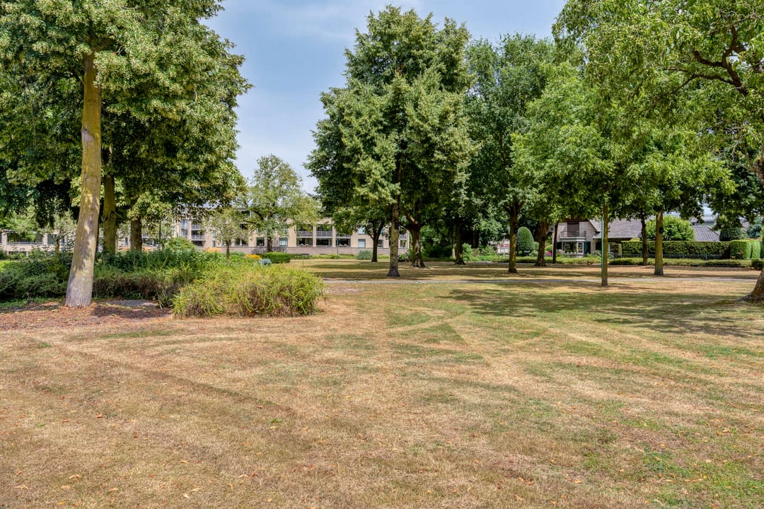 Photo 41 of Pelikaanhof 9