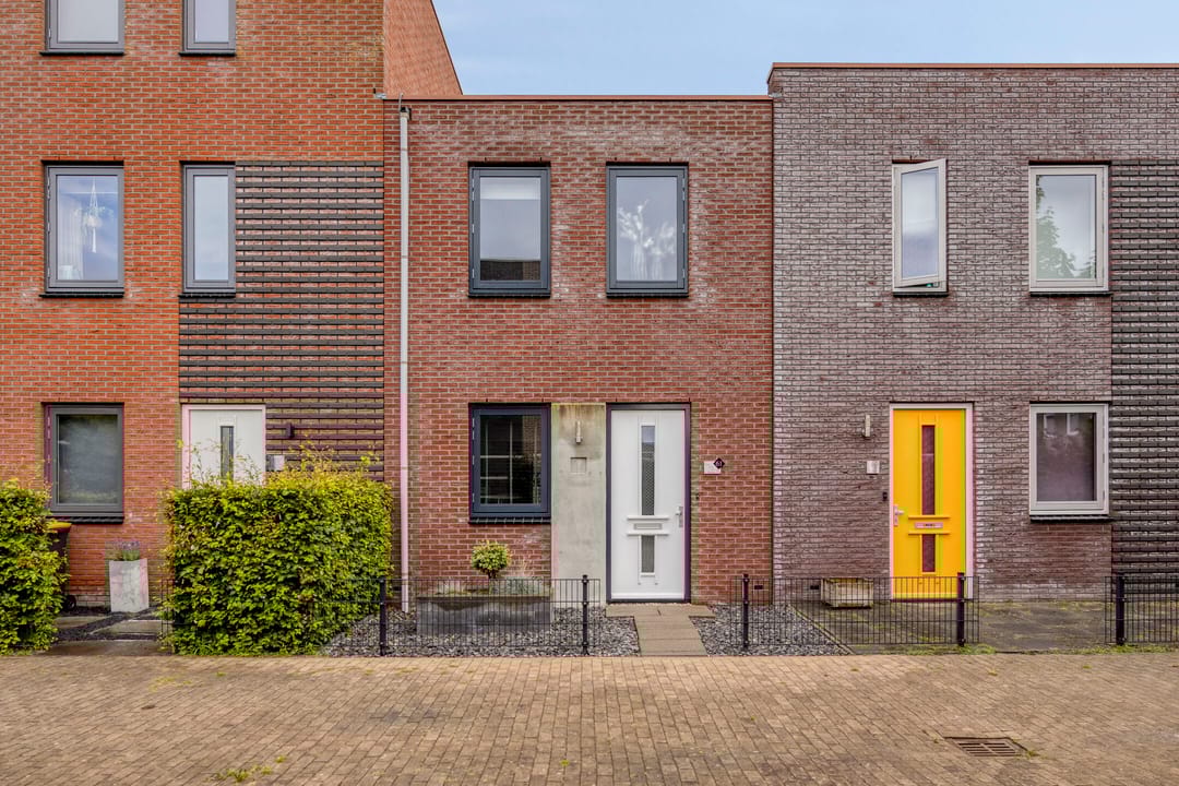 Foto 1 van Citroenvlinder 61