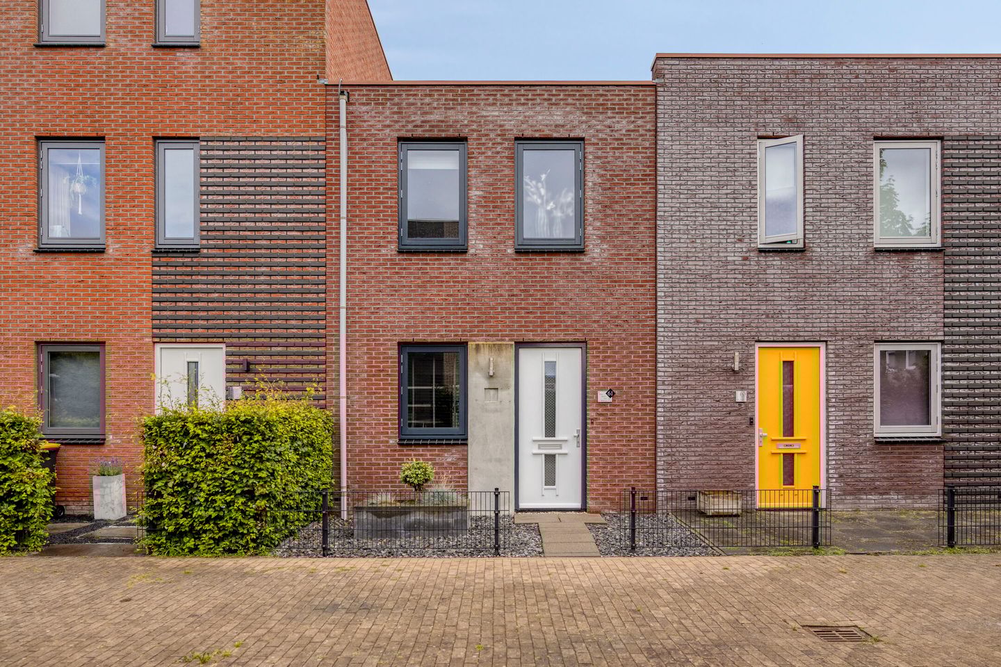 Foto 1 van Citroenvlinder 61