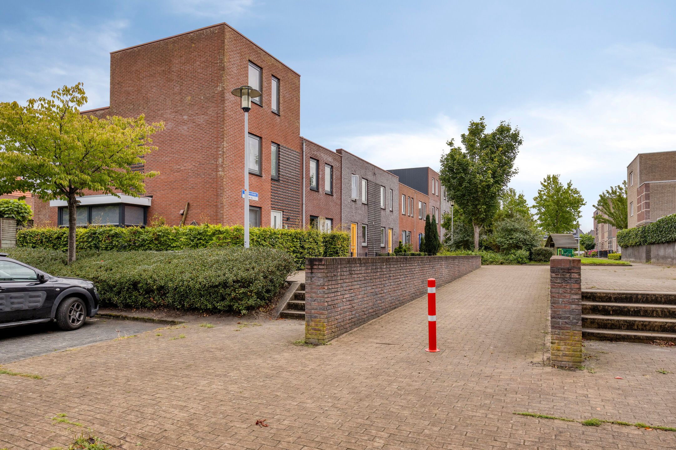 Foto 6 van Citroenvlinder 61