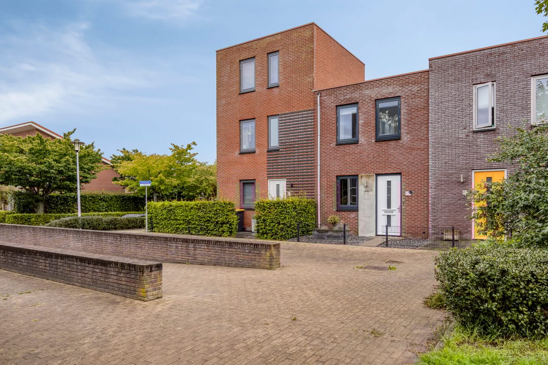 Foto 7 van Citroenvlinder 61