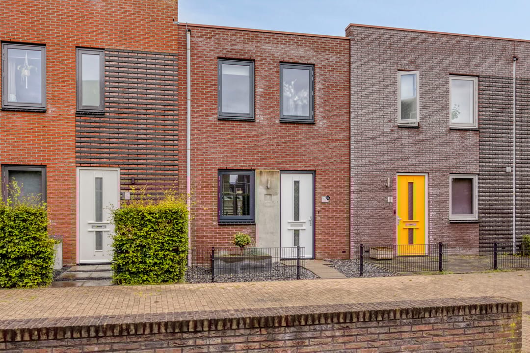 Foto 8 van Citroenvlinder 61