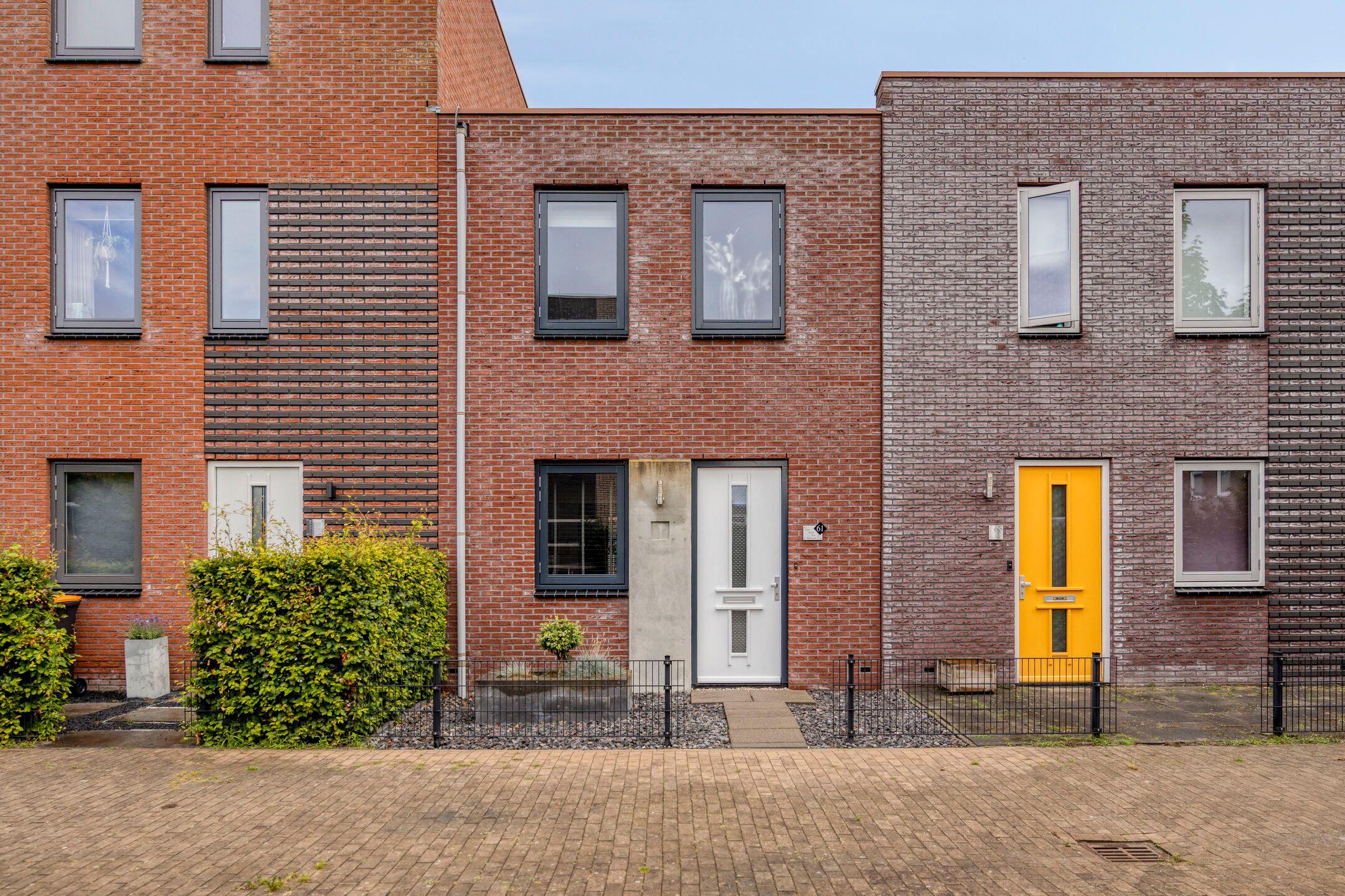 Foto 9 van Citroenvlinder 61