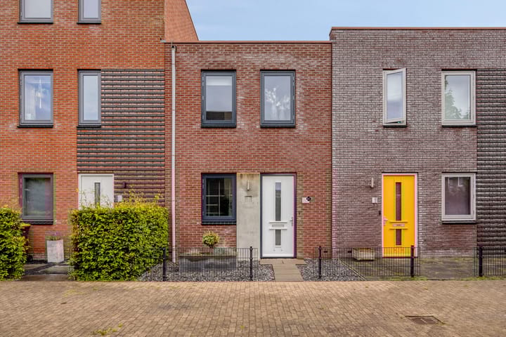 Foto 9 van Citroenvlinder 61