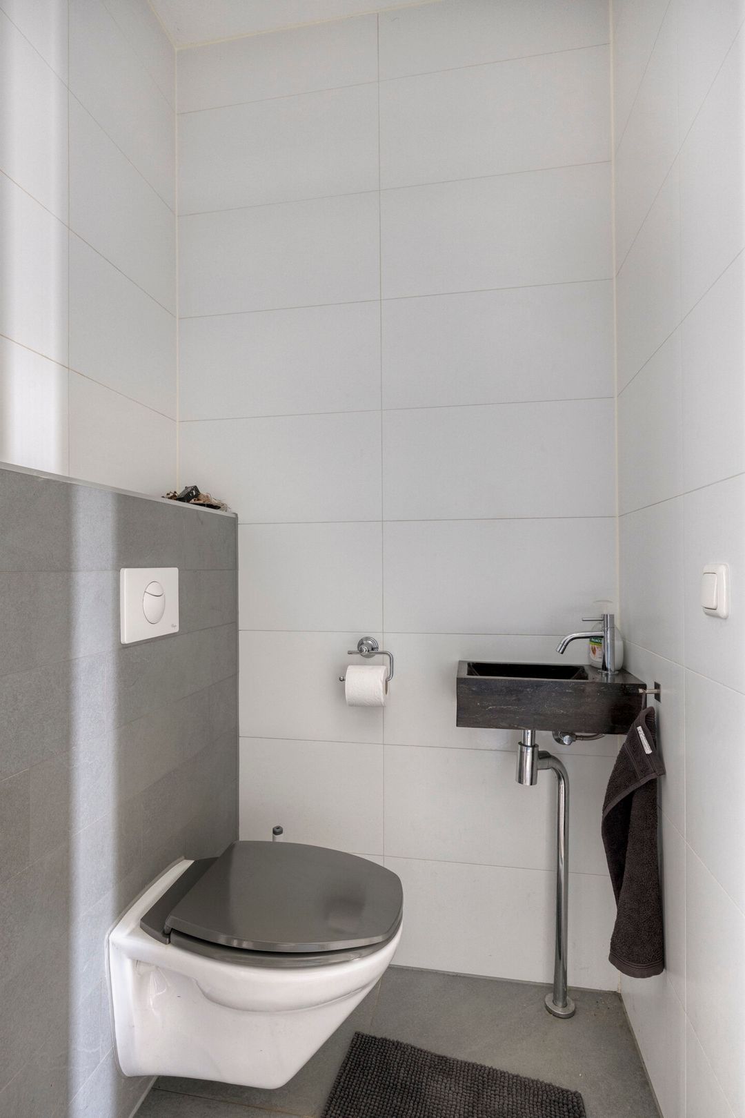 Foto 11 van Citroenvlinder 61