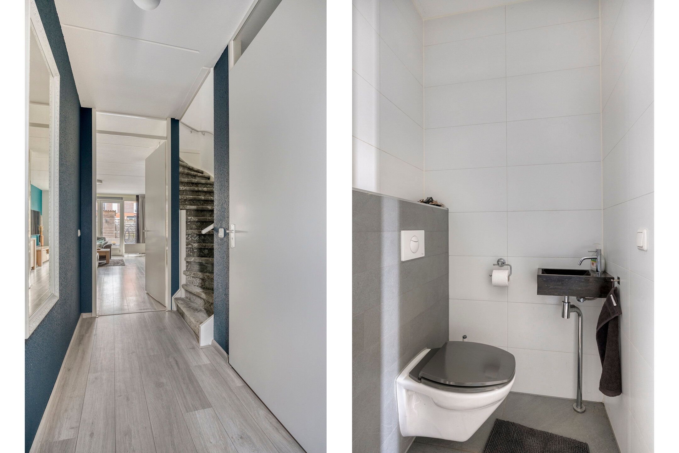 Foto 12 van Citroenvlinder 61