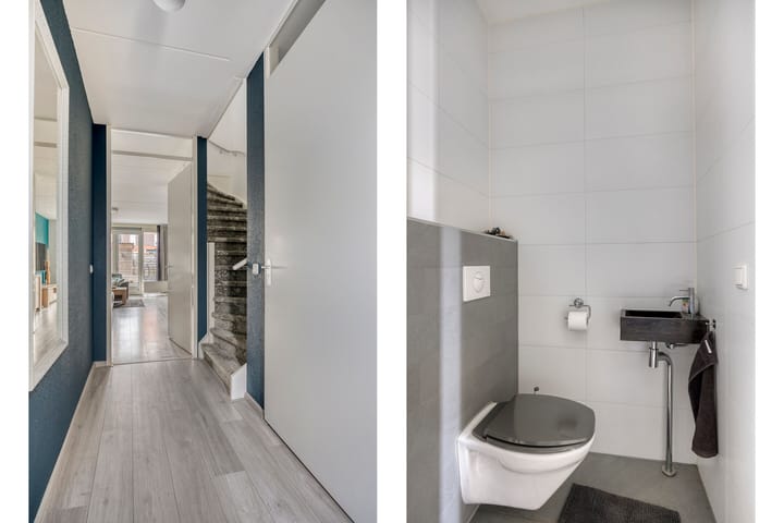 Foto 12 van Citroenvlinder 61