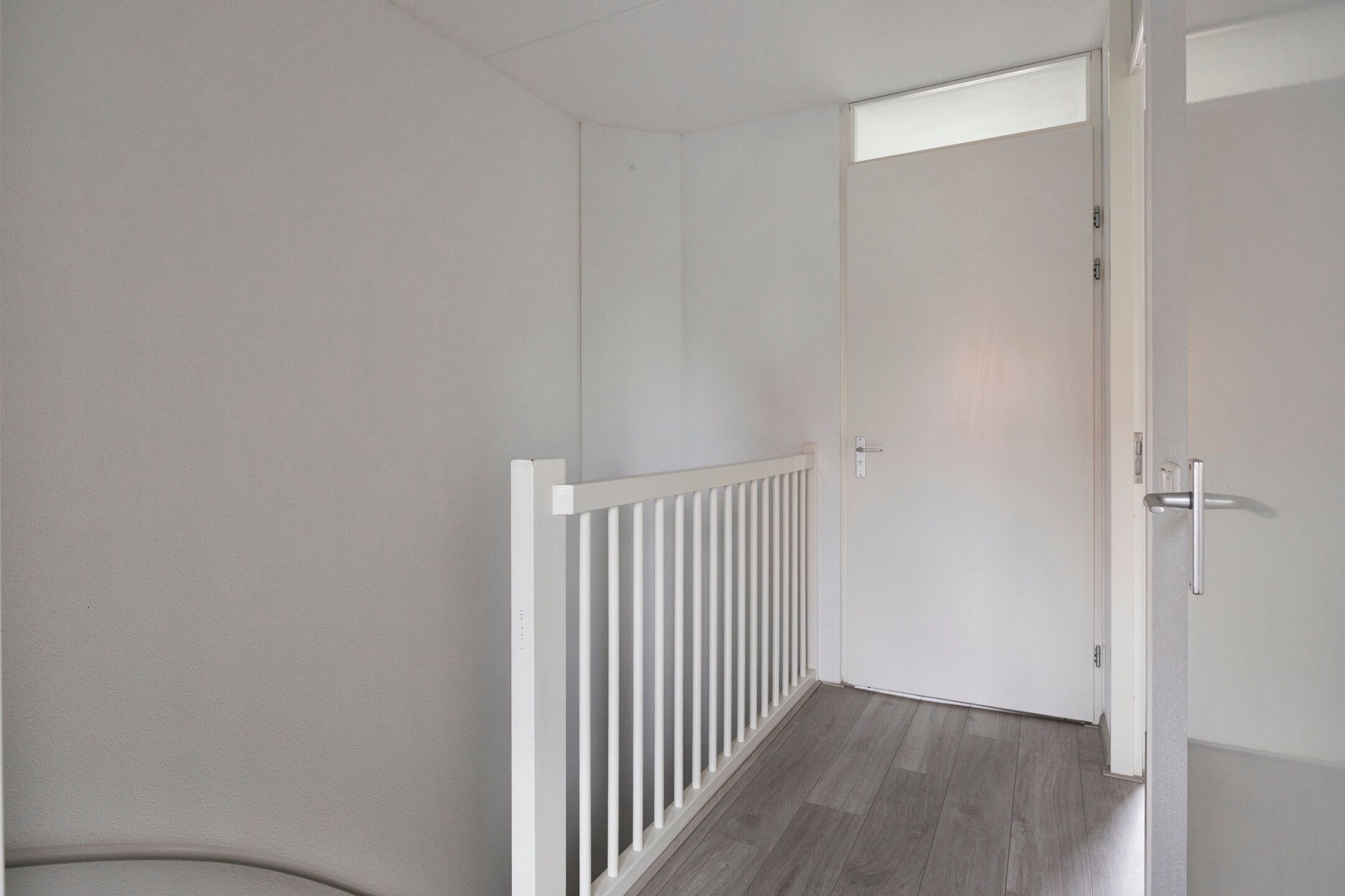 Foto 24 van Citroenvlinder 61