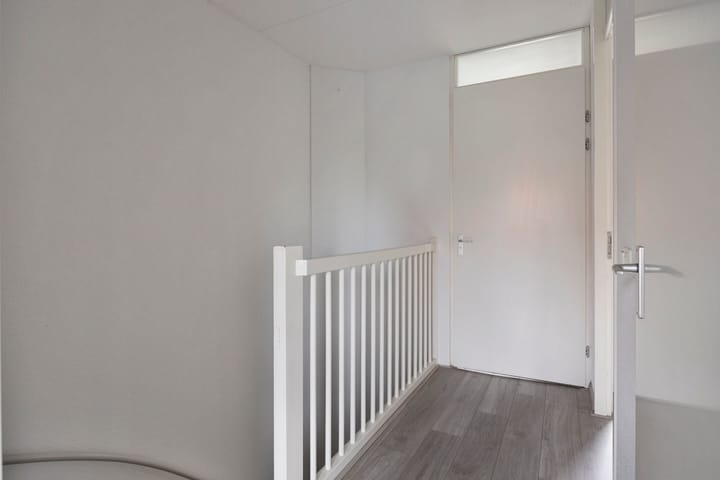 Foto 24 van Citroenvlinder 61