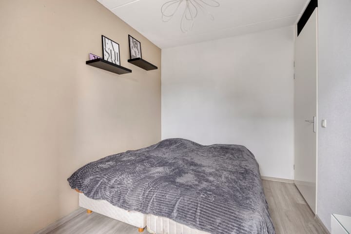 Foto 33 van Citroenvlinder 61