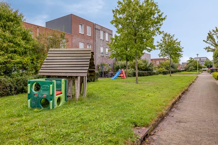 Foto 37 van Citroenvlinder 61