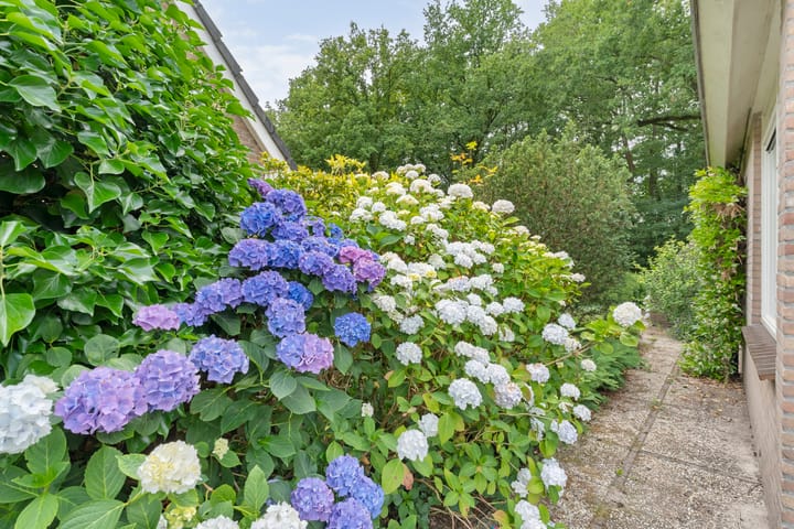 Foto 3 van Walakker 4