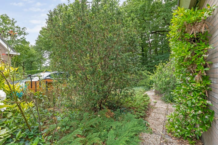 Foto 40 van Walakker 4