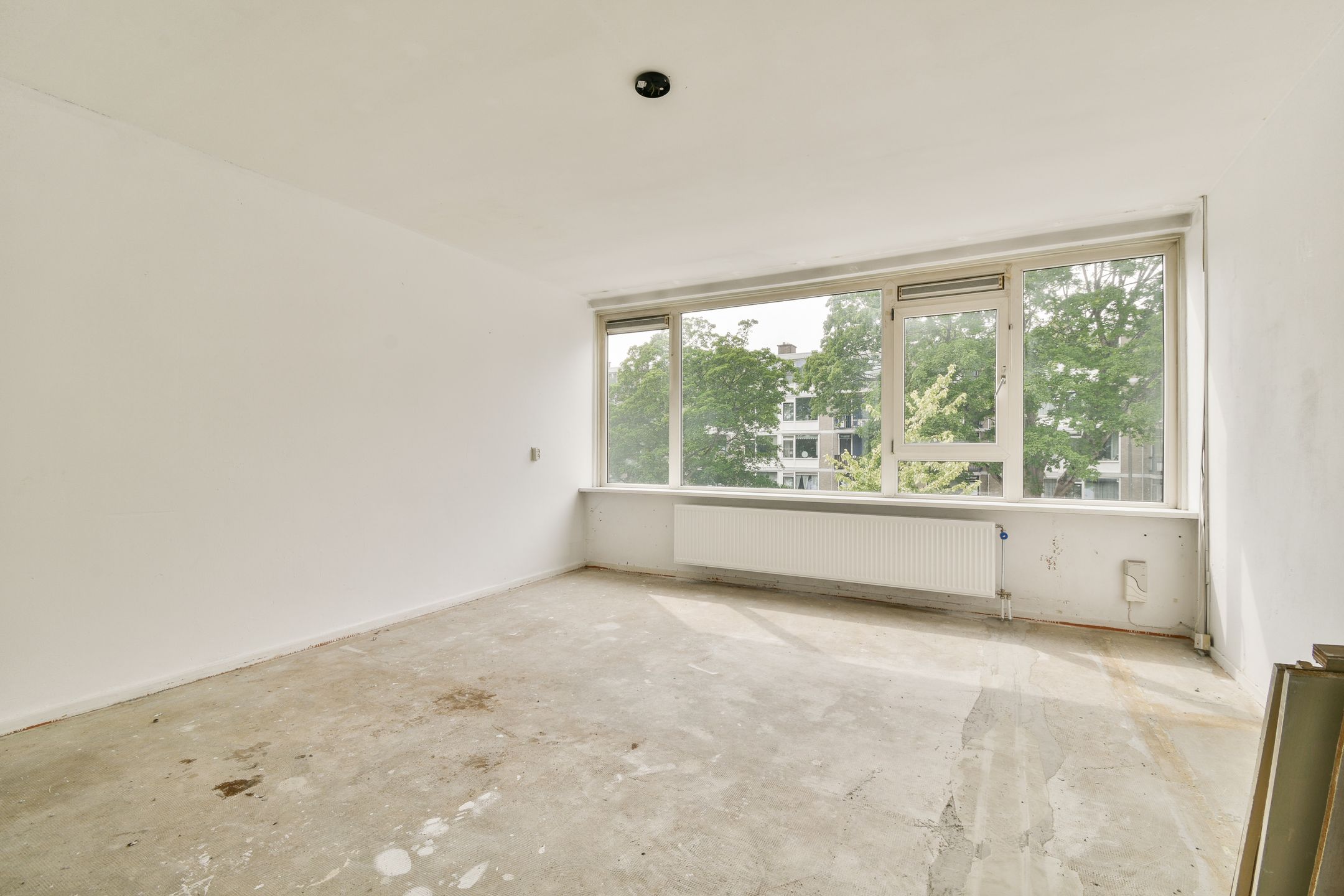 Foto 12 van Thorbeckeweg 222