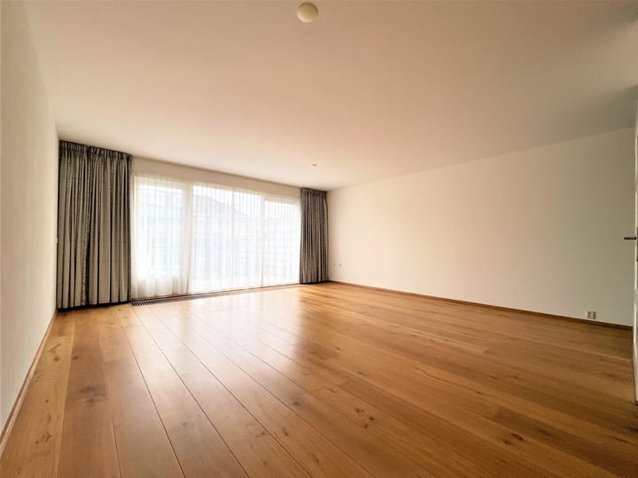 Foto 5 van Grote Lijster 55